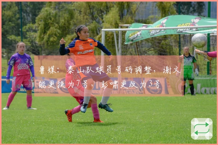 鲁媒：泰山队球员号码调整，谢文能更换为7号，彭啸更改为3号