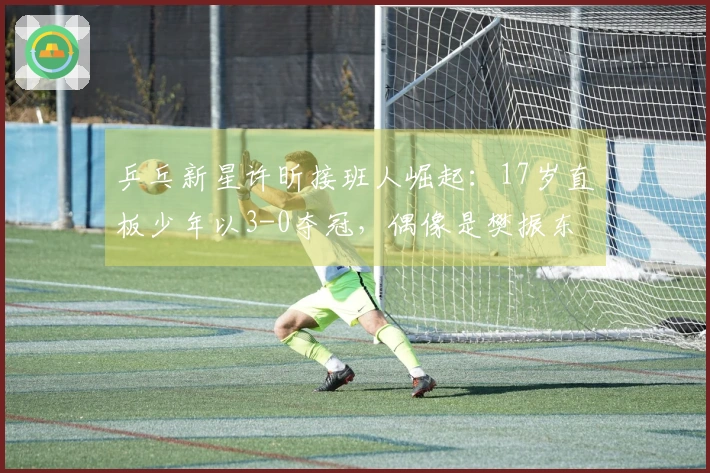 乒乓新星许昕接班人崛起：17岁直板少年以3-0夺冠，偶像是樊振东