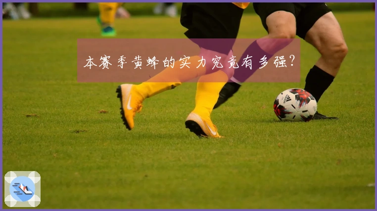 本赛季黄蜂的实力究竟有多强？